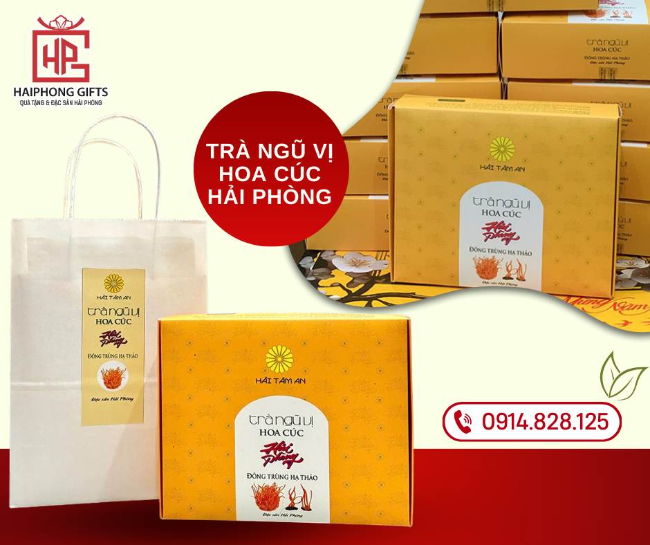 Trà Ngũ Vị Hoa Cúc Hải Phòng – Quà Biếu Gần Gũi, Đậm Tình Đất Cảng 