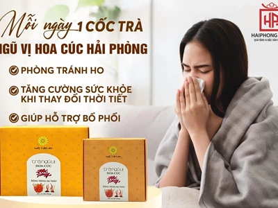 Trà Ngũ Vị Hoa Cúc Hải Phòng: Thức uống ngon lạ, hút khách bốn phương