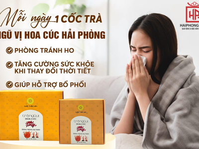 Trà Ngũ Vị Hoa Cúc Hải Phòng: Hương Vị Tự Nhiên, Chăm Sóc Sức Khỏe Mỗi Ngày