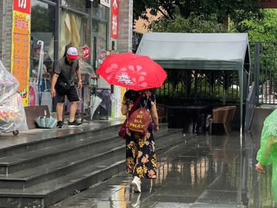  Chiếc Ô Hải Phòng – Ký Ức Một Cơn Mưa