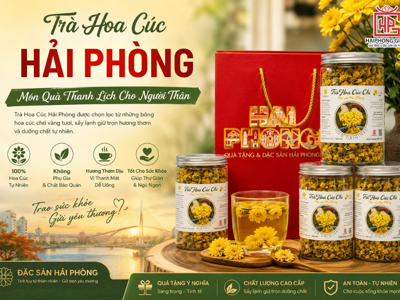 Trà Hoa Cúc Hải Phòng – Món Quà Thanh Lịch Cho Người Thân
